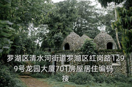 羅湖區(qū)清水河街道羅湖區(qū)紅崗路1299號(hào)龍園大廈701房屋居住編碼  搜