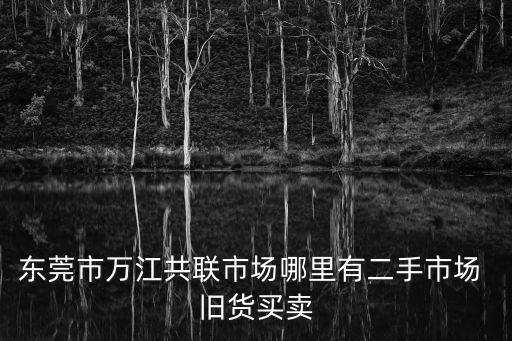 東莞市萬江共聯(lián)市場哪里有二手市場 舊貨買賣
