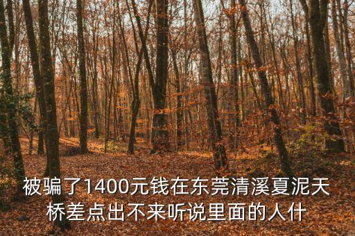 東莞網友被騙案例，我半個月以前在東莞橋頭認識了一個網友她把我忽悠到東莞橫瀝的