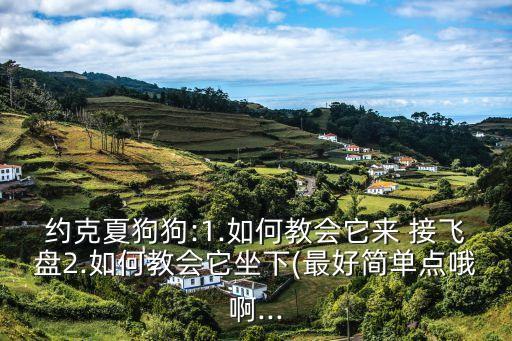 約克夏狗狗:1.如何教會它來 接飛盤2.如何教會它坐下(最好簡單點哦啊...