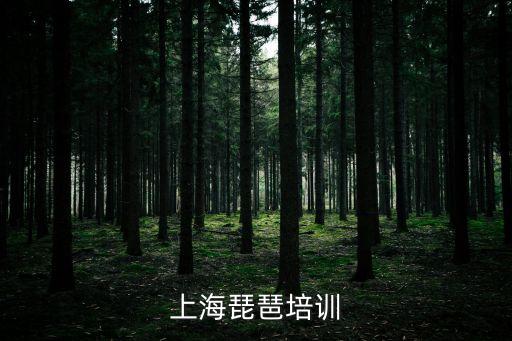 上海琵琶培訓