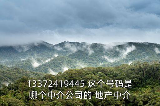 13372419445 這個號碼是哪個中介公司的 地產中介