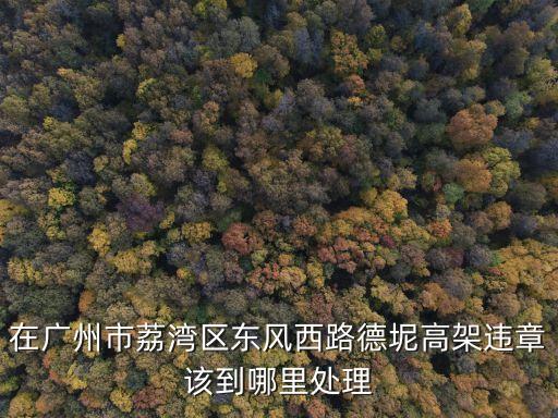 在廣州市荔灣區(qū)東風(fēng)西路德坭高架違章該到哪里處理