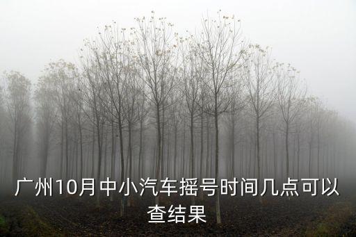 廣州10月?lián)u號(hào)結(jié)果，廣州10月中小汽車(chē)搖號(hào)時(shí)間幾點(diǎn)可以查結(jié)果