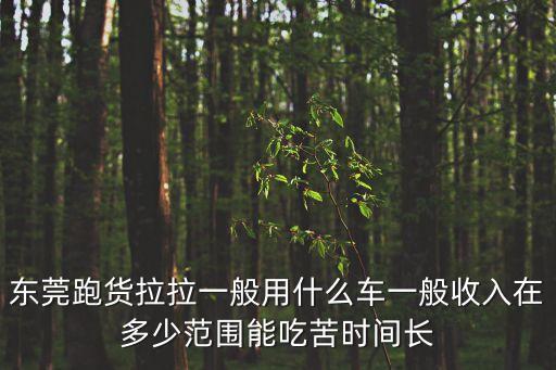 新手在東莞跑42貨拉拉怎么樣，在東莞長安做貨拉拉行嗎