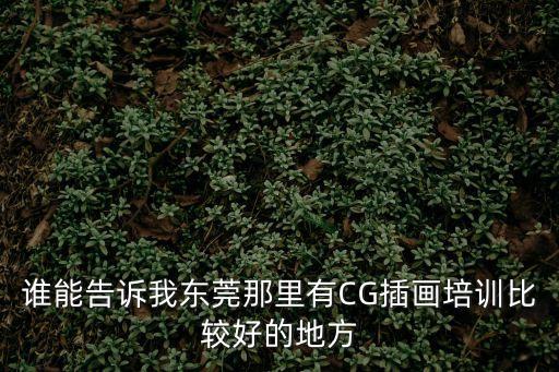 誰能告訴我東莞那里有CG插畫培訓比較好的地方