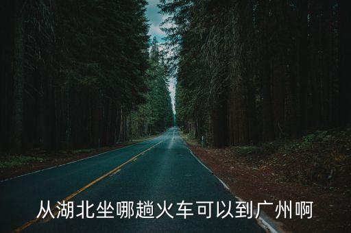 湖北省去廣州能去嗎，從湖北坐哪趟火車可以到廣州啊