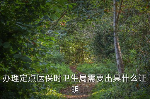 辦理定點(diǎn)醫(yī)保時(shí)衛(wèi)生局需要出具什么證明