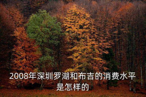 2008年深圳羅湖和布吉的消費水平是怎樣的