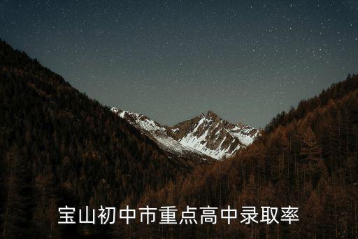 寶山初中市重點高中錄取率