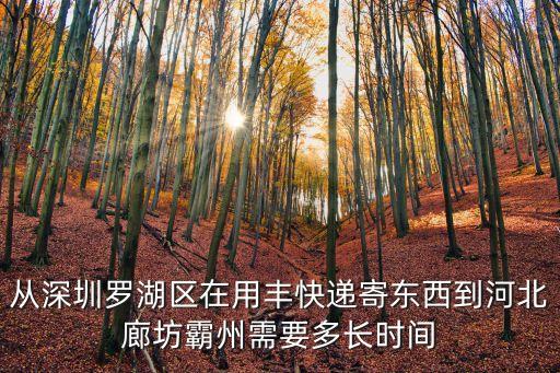 從深圳羅湖區(qū)在用豐快遞寄東西到河北廊坊霸州需要多長時間