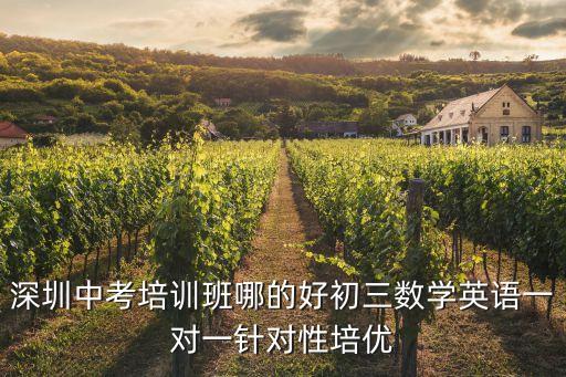 深圳中考培訓班哪的好初三數學英語一對一針對性培優