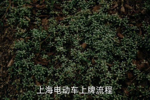 上海電動車上牌流程