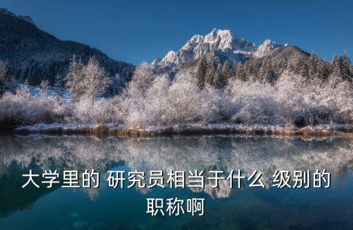 研究員是什么級別,研究員是什么職位?