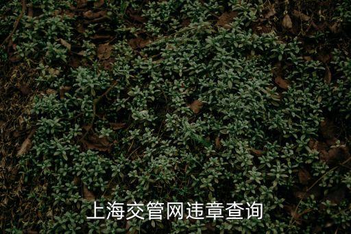 上海交管網(wǎng)違章查詢