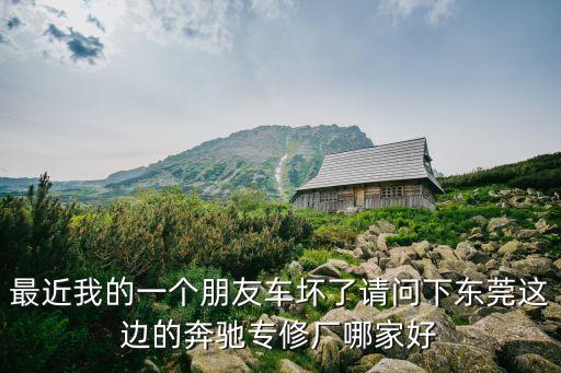 東莞仁孚華星奔馳廠，請問下東莞這邊的奔馳配件廠哪家好之前去看過的都不太理想