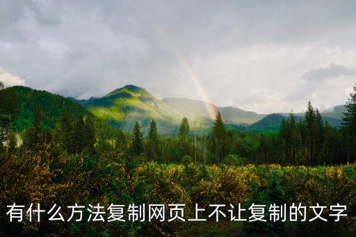有什么方法復制網頁上不讓復制的文字