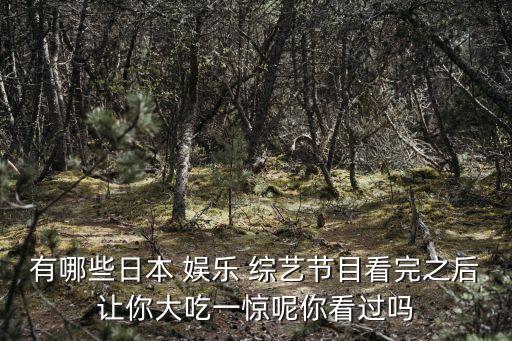 有哪些日本 娛樂 綜藝節目看完之后讓你大吃一驚呢你看過嗎