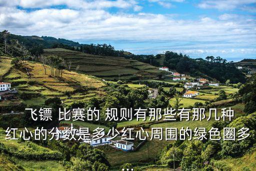 飛鏢比賽規則,殘疾人飛鏢比賽規則