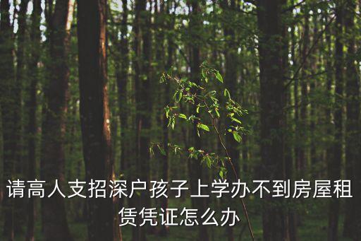 深圳積分入學租賃憑證，深圳 小孩入學申請辦理房屋租憑合同