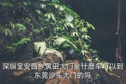深圳寶安西鄉黃田大門坐什麼車可以到東莞沙頭大門的嗎