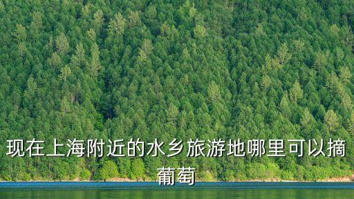 現在上海附近的水鄉旅游地哪里可以摘葡萄