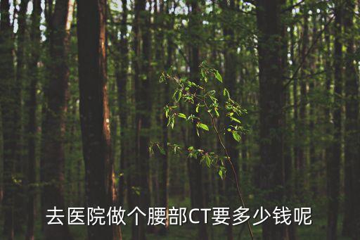 去醫(yī)院做個(gè)腰部CT要多少錢呢