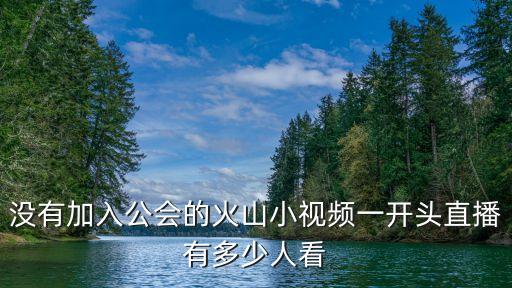 沒有加入公會的火山小視頻一開頭直播有多少人看