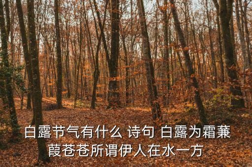  白露節(jié)氣有什么 詩句 白露為霜蒹葭蒼蒼所謂伊人在水一方