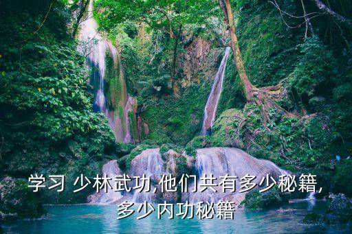 少林童子功,什么是童子功?