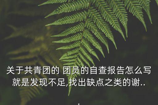 團員的自我批評