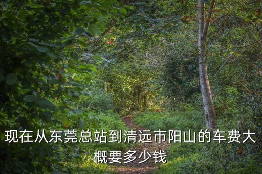 現(xiàn)在從東莞總站到清遠市陽山的車費大概要多少錢