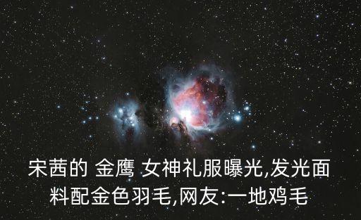 宋茜的 金鷹 女神禮服曝光,發光面料配金色羽毛,網友:一地雞毛