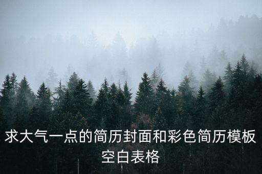 求大氣一點的簡歷封面和彩色簡歷模板空白表格