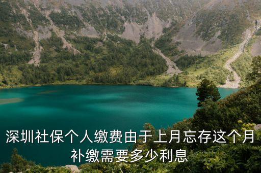 深圳社保個人補扣，深圳市社保上個月漏繳這個月怎么補繳