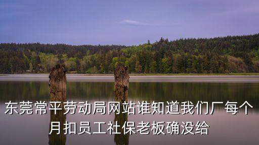 東莞常平勞動(dòng)局網(wǎng)站誰知道我們廠每個(gè)月扣員工社保老板確沒給