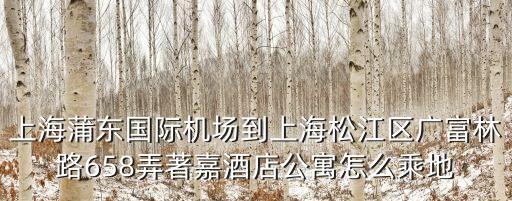上海蒲東國際機(jī)場到上海松江區(qū)廣富林路658弄著嘉酒店公寓怎么乘地