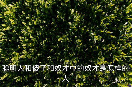 聰明人和傻子和奴才中的奴才是怎樣的人