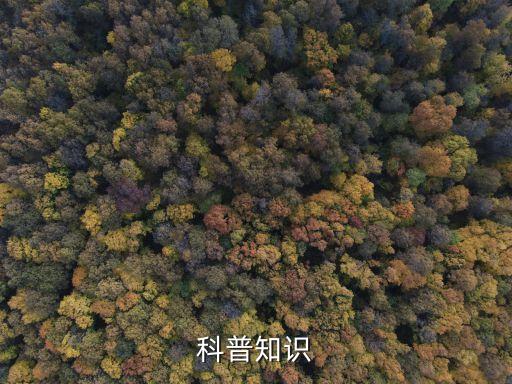 科技周