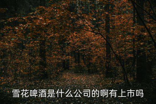 雪花啤酒是什么公司的啊有上市嗎