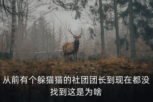 上海市社團曾永和，從前有個躲貓貓的社團團長到現(xiàn)在都沒找到這是為啥