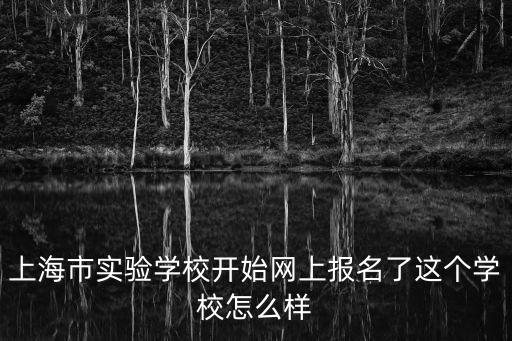 上海市實驗學校開始網上報名了這個學校怎么樣