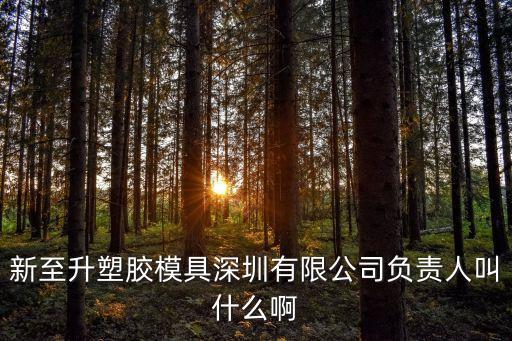 新至升塑膠模具深圳有限公司負責人叫什么啊