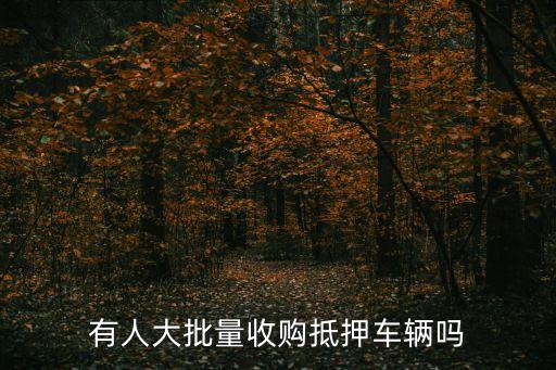 有人大批量收購抵押車輛嗎