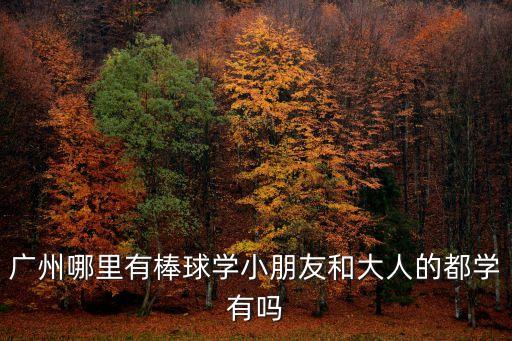 廣州哪里有棒球?qū)W小朋友和大人的都學(xué)有嗎