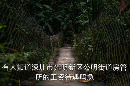 有人知道深圳市光明新區公明街道房管所的工資待遇嗎急