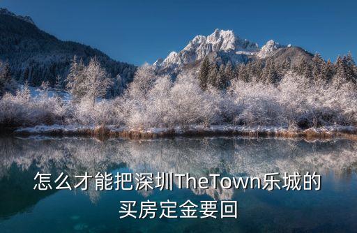 深圳市安居房收回程序，怎么才能把深圳TheTown樂(lè)城的買(mǎi)房定金要回