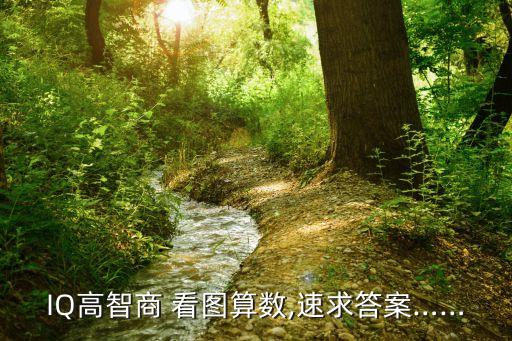 IQ高智商 看圖算數(shù),速求答案……
