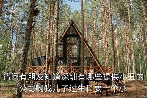請(qǐng)問有朋友知道深圳有哪些提供小丑的公司啊我兒子過生日要一個(gè)小