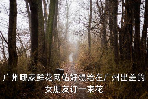 廣州哪家鮮花網站好想給在廣州出差的女朋友訂一束花
